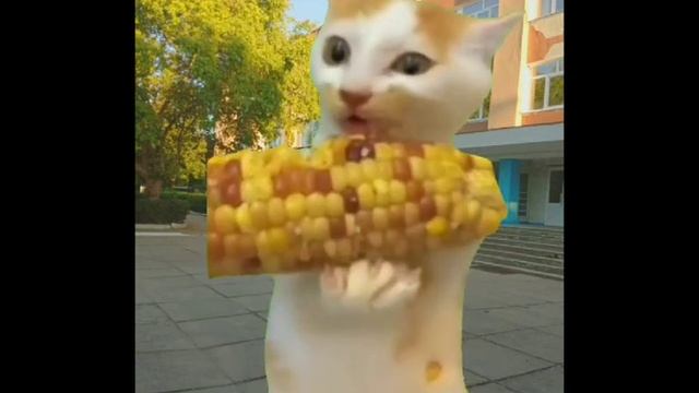 Линейка 😂