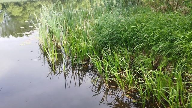 по карте типо пляж