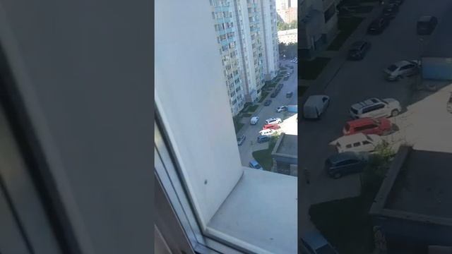 Я завтра поеду на дачу😃Урааааааааааа🌟
НА УЛИЦЕ +31 ГРАДУСОВ🔥