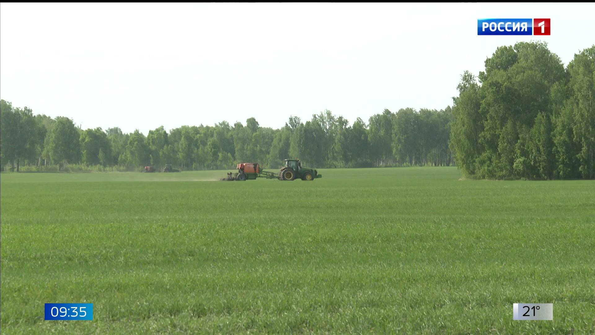 Вести-Томск, выпуск от 04.06.2025 11:30