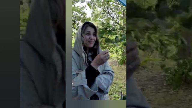 ПИКНИК ПОД ДОЖДЁМ И ВЕТРОМ!❤️