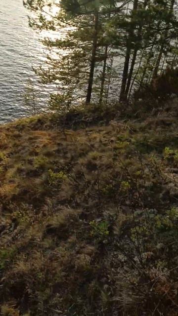 красивая природа на Ангаре #подпишись #рыбалка #fishing