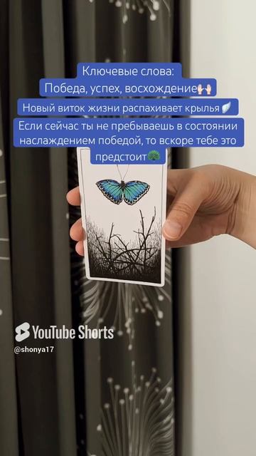 🦦#картадня #cardoftheday #таро #tarot #совет #таролог #butterfly