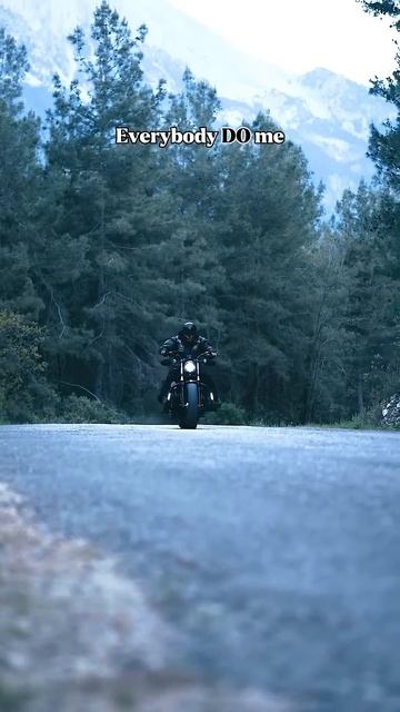 I miss sportster 48 🔥