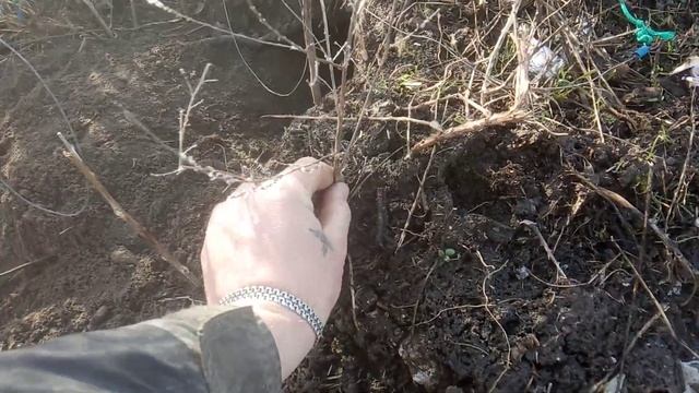 Установил Две Петли на Заечью Нору🐇🐰