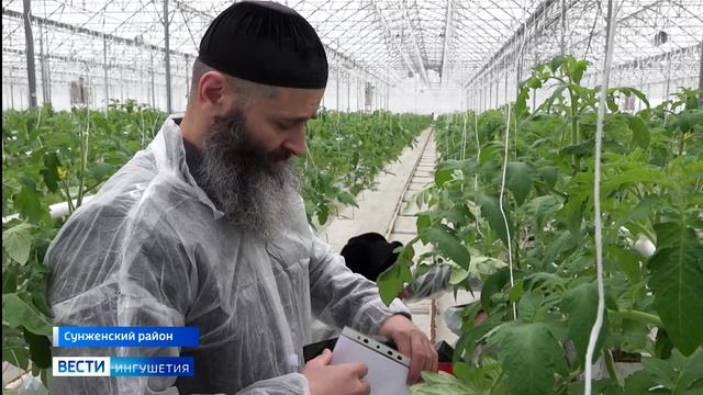 В агрокомплексе Ингушетии проверили качество продукции