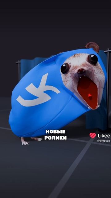 Блоп топ