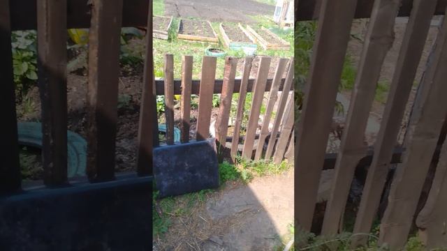 1000062576.mp4