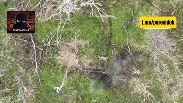 ВСУшник упорно не хотел отправляться к Бандере