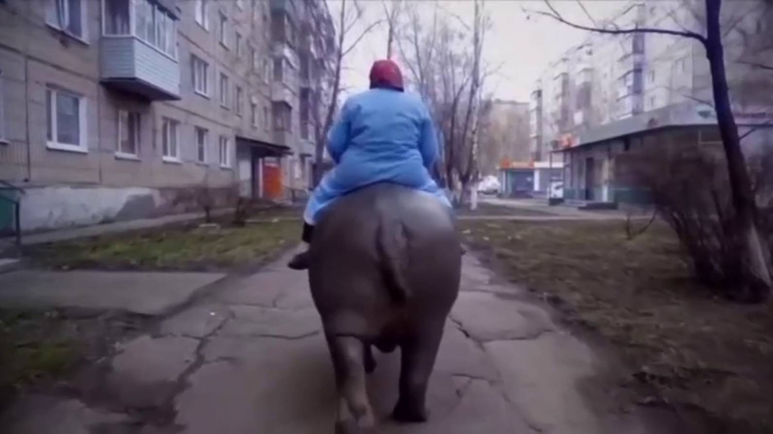 «Булька – Барабулька»