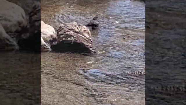 Город Кордолэйн,  штат Айдахо. Курортное местечко в по?