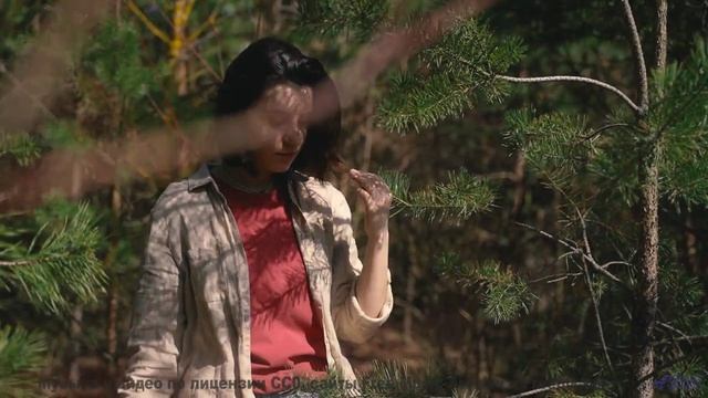 Ваши уши скажут вам спасибо! - A Sense of Purpose -- Nihilore -- Best of 2020-2024