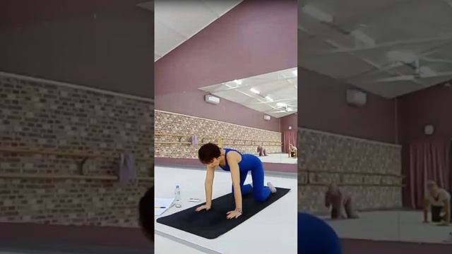 Хатха-йога. Осознавание и работа с мышцами брюшного пр