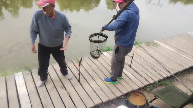 Кукуруза + опарик