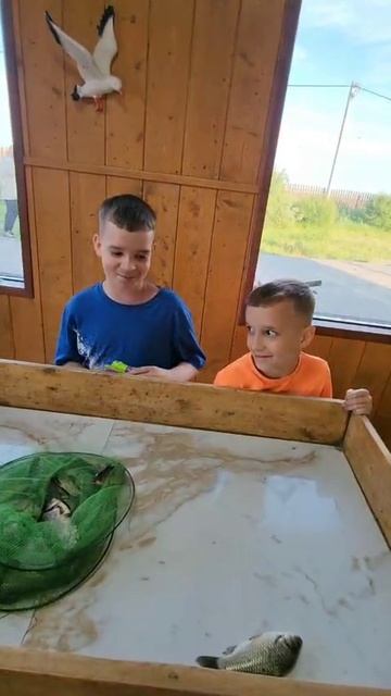 04-06-2025