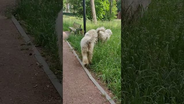 какой прекрасный день 🥰