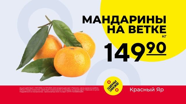 Рекламный ролик Красный Яр - Мандарины