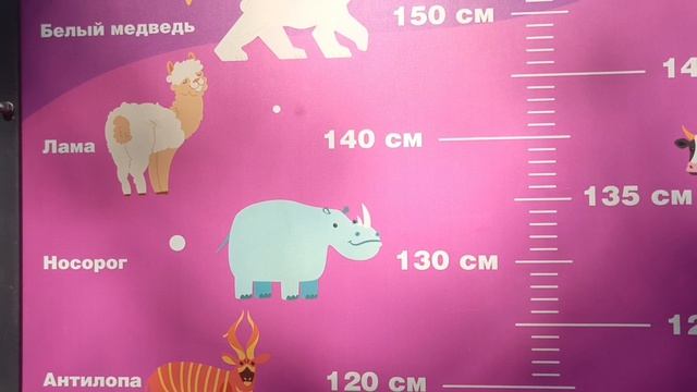Кто какого роста?🦍🐄🦬Детская научно-развлекательная детская площадка на Старом озере. #Кисловодск
