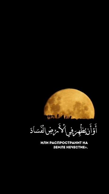 Сура Гафир аяты 26-27