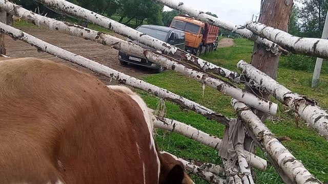 в путь 2