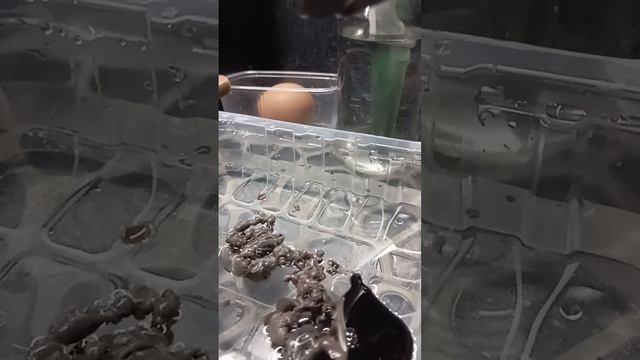 помогите себе сами