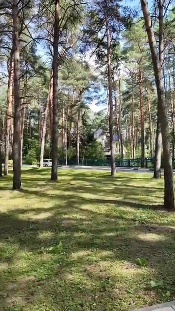Город, где много мозаики - Дубна