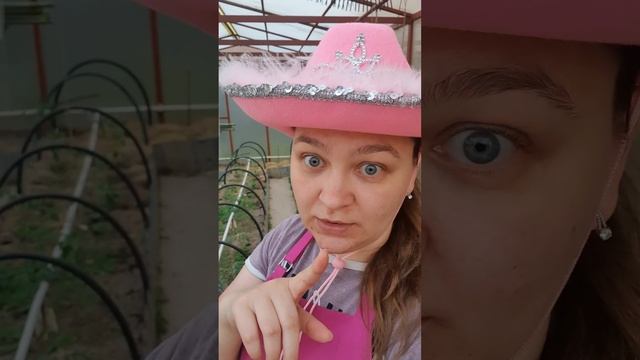 🧹🧺🏡 Забыла про рассаду Плесень