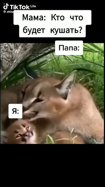 пельмени ТОП