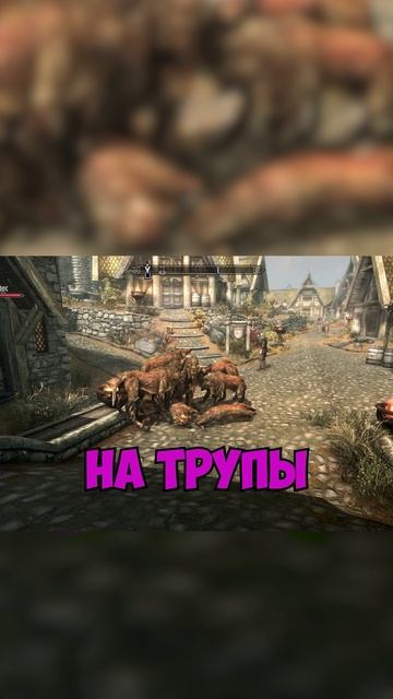 Прихожу в Вайтран — а тут волк🐺 Опять🐺 И опять🐺И снова волк 🐺😅