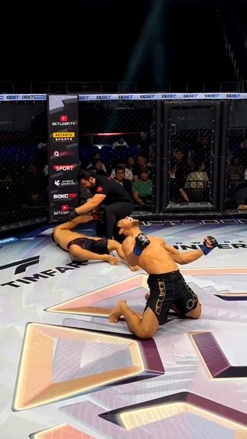 Лучшие нокауты Подпишись и ставь лайк #ufc #mma #youtube #sports #tiktok #shortsvideo #russia #box