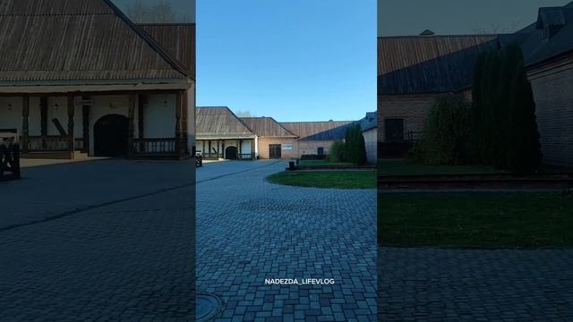 Остров Град Свияжск. 11.11.2023