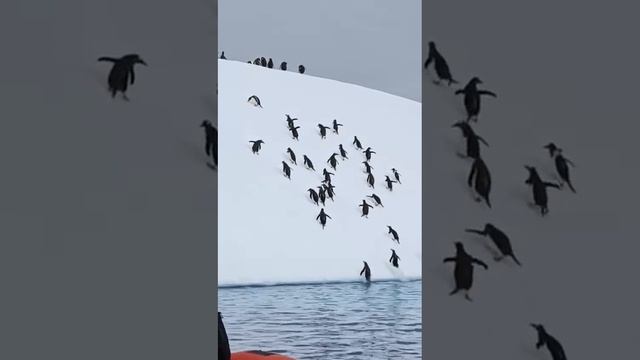 1000004359.mp4