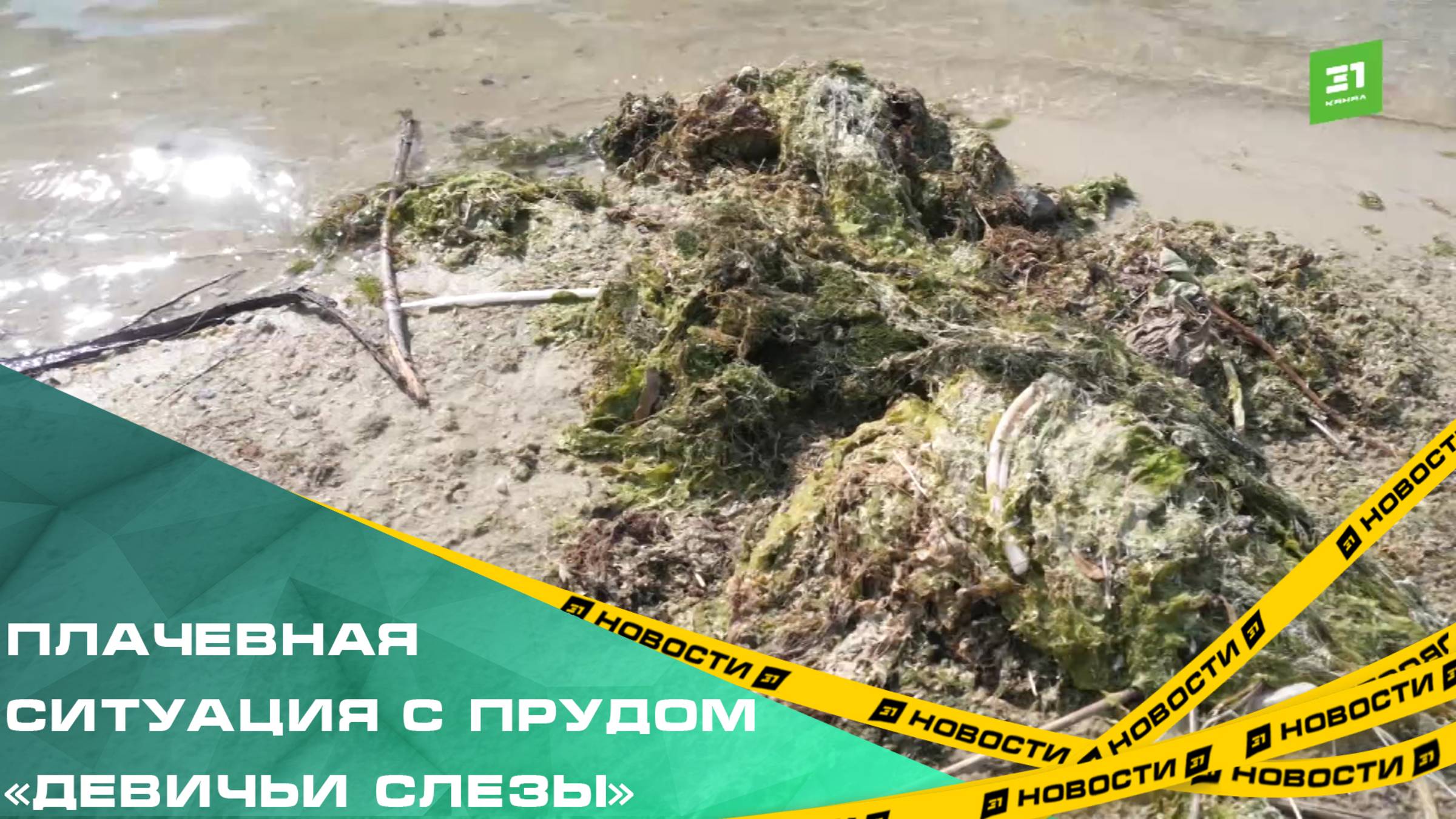 Водоем в Ленинском районе превратился в болото и местных жителей это очень напрягает