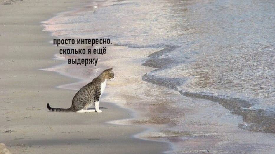 Конфигурирование Windows 10. ДЗ_БВ522 Липилина Автоматизация установки Windows – файлы ответов
