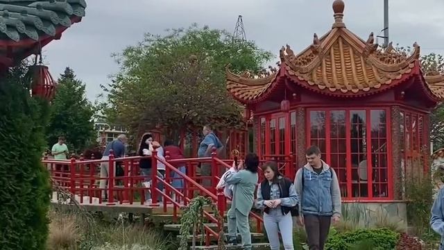 Волшебство цветущих полей: природа в своем великолепии