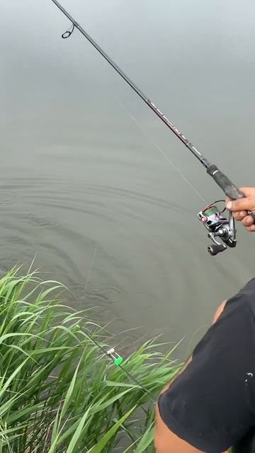 Он не ожидал такого улова.. #рыбалка #fishing #nature #красотыприроды #рыба #лето #вечер