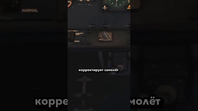 Девушка хотела спасти самолет