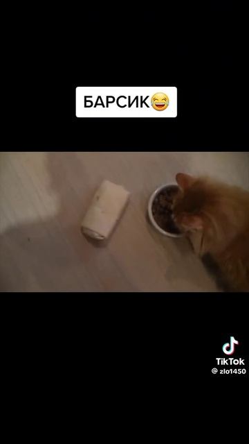 578c9a3b64561963877d480a0ed368f2