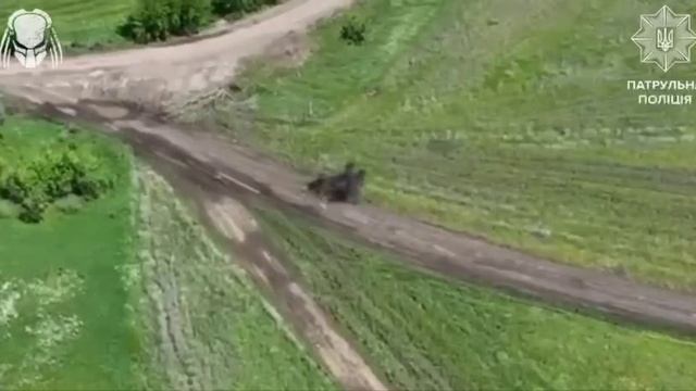 Эпизод войны дронов
