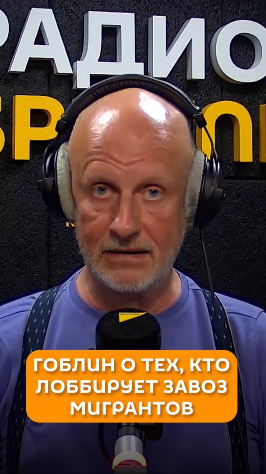Гоблин о трех, кто лоббирует завоз мигрантов