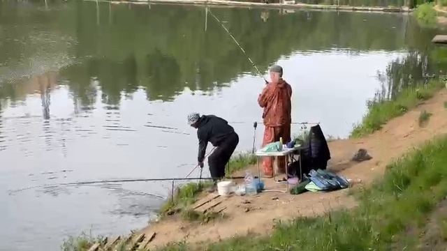 Карп под дубами