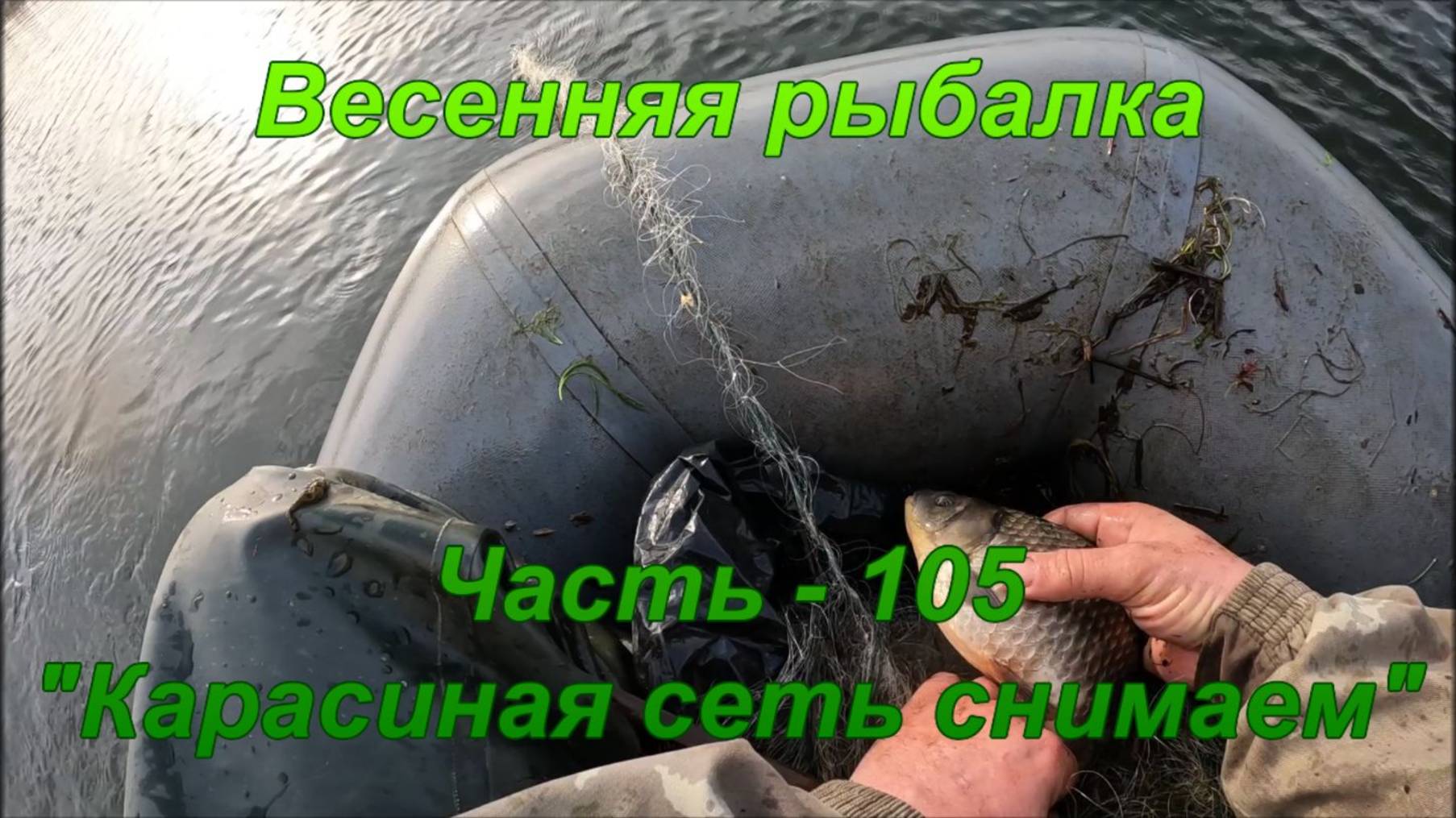Весенняя рыбалка. Часть - 105. "Карасиная сеть снимаем".