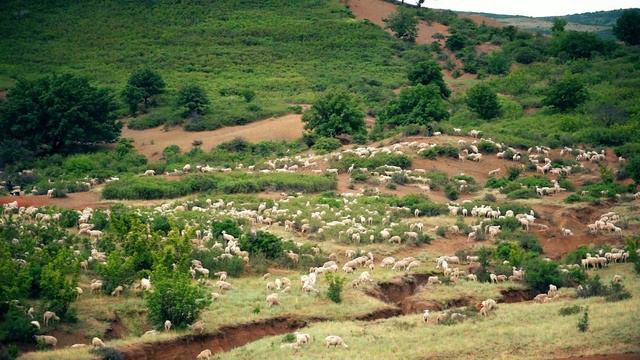 Агротуризм в сердце Гунибского района — новый проект КФХ «Зеленая роща»!
