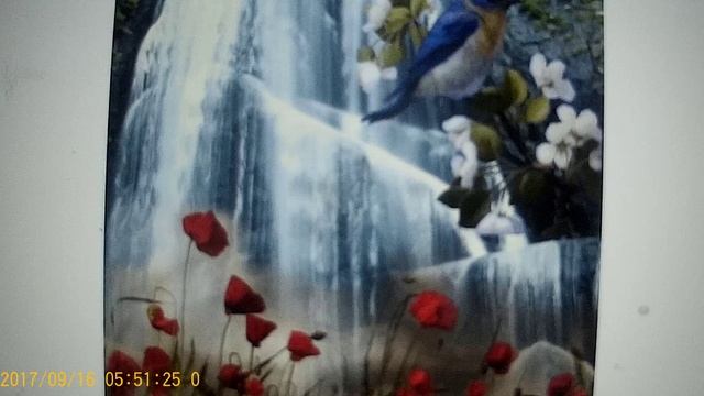 рЫма чек --пляшет , ни чего не болит и от этого СКОРБИТ