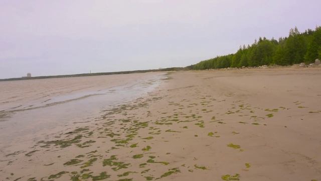Вело дорога в Сосновом бору