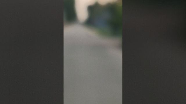 1000050246.mp4