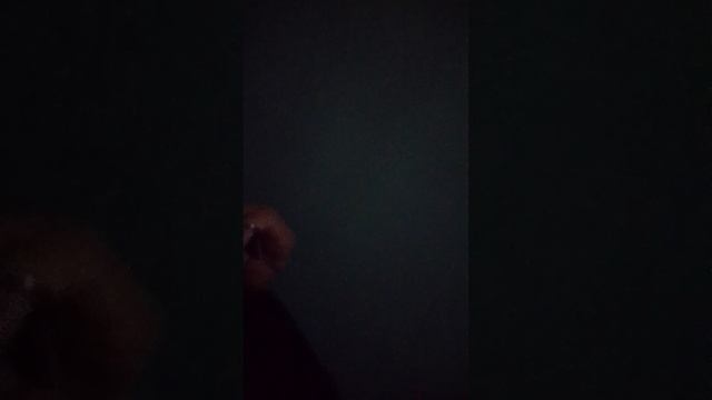 1000042186.mp4