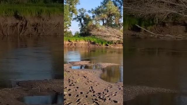 Не большой отдых у реки Ик