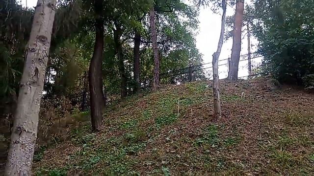 Кисловодские "чистые" места в центре города!!! Мэрия не