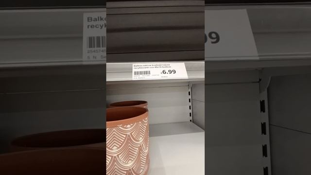 Что сейчас цветёт.Что необычного можно найти в магази?